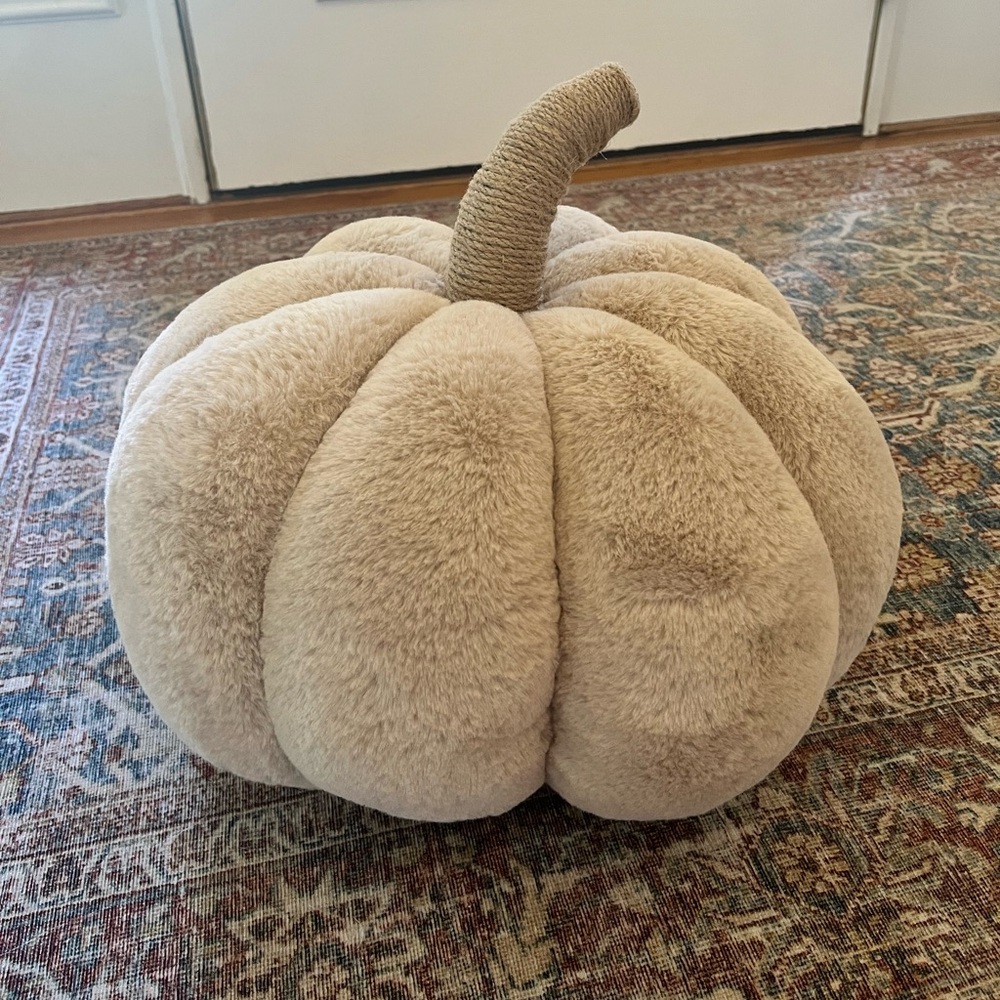 Pottery Barn Pumpkin Pillow